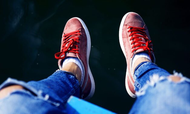 Los Zapatos de Roberto