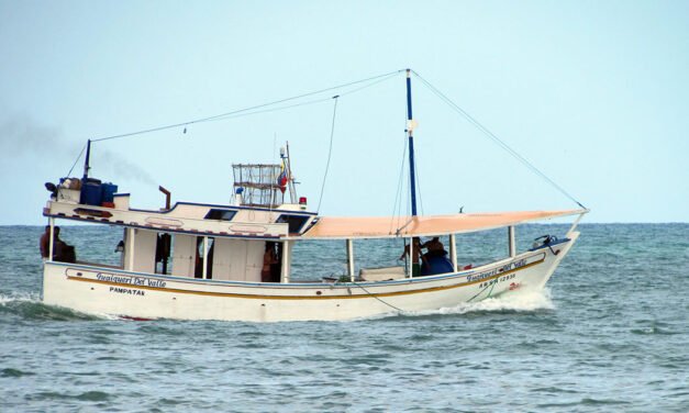 Viaje de la Negra Felicity